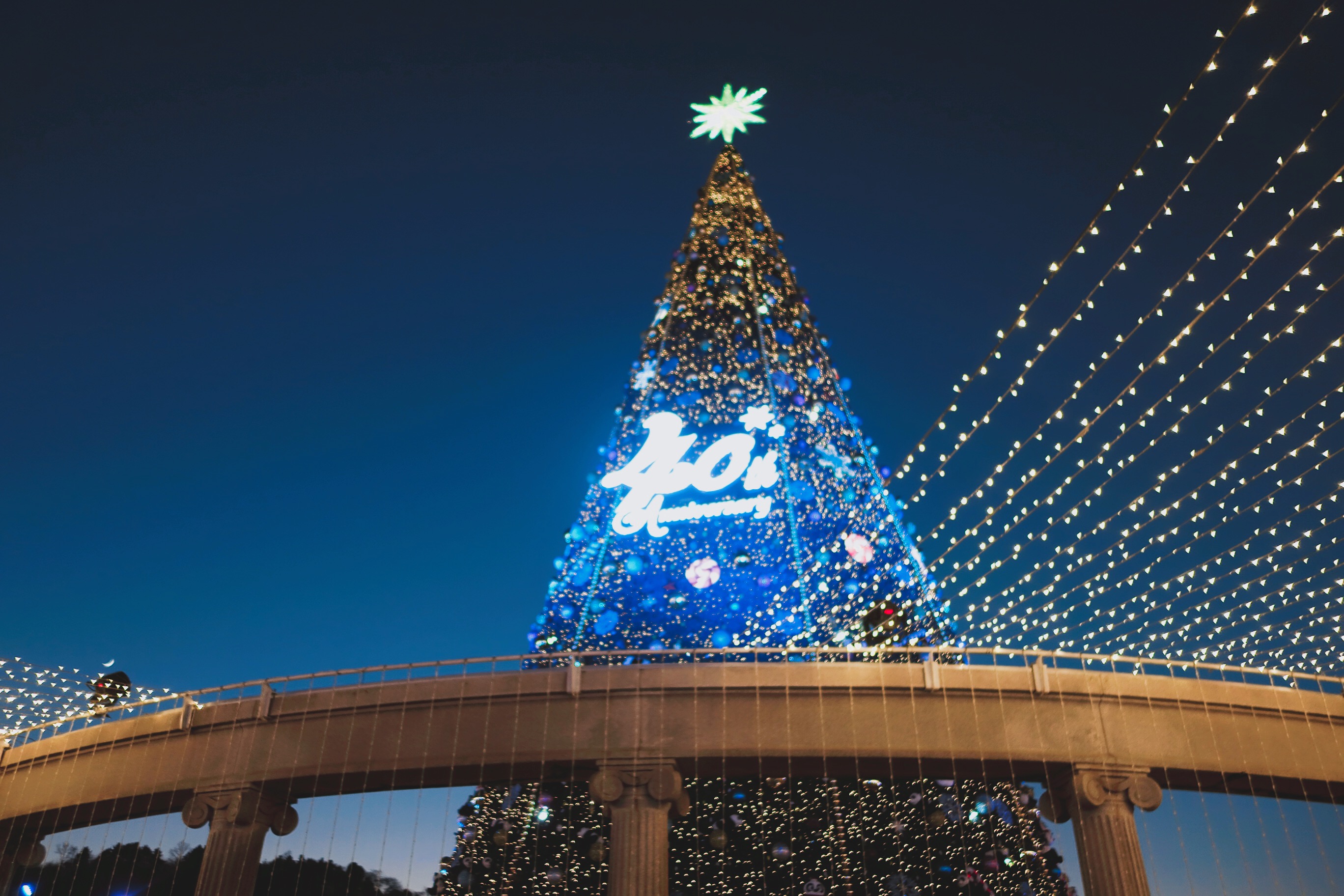 🇰🇷【京畿道】到愛寶樂園度過浪漫聖誕節 에버랜드 리조트 Everland