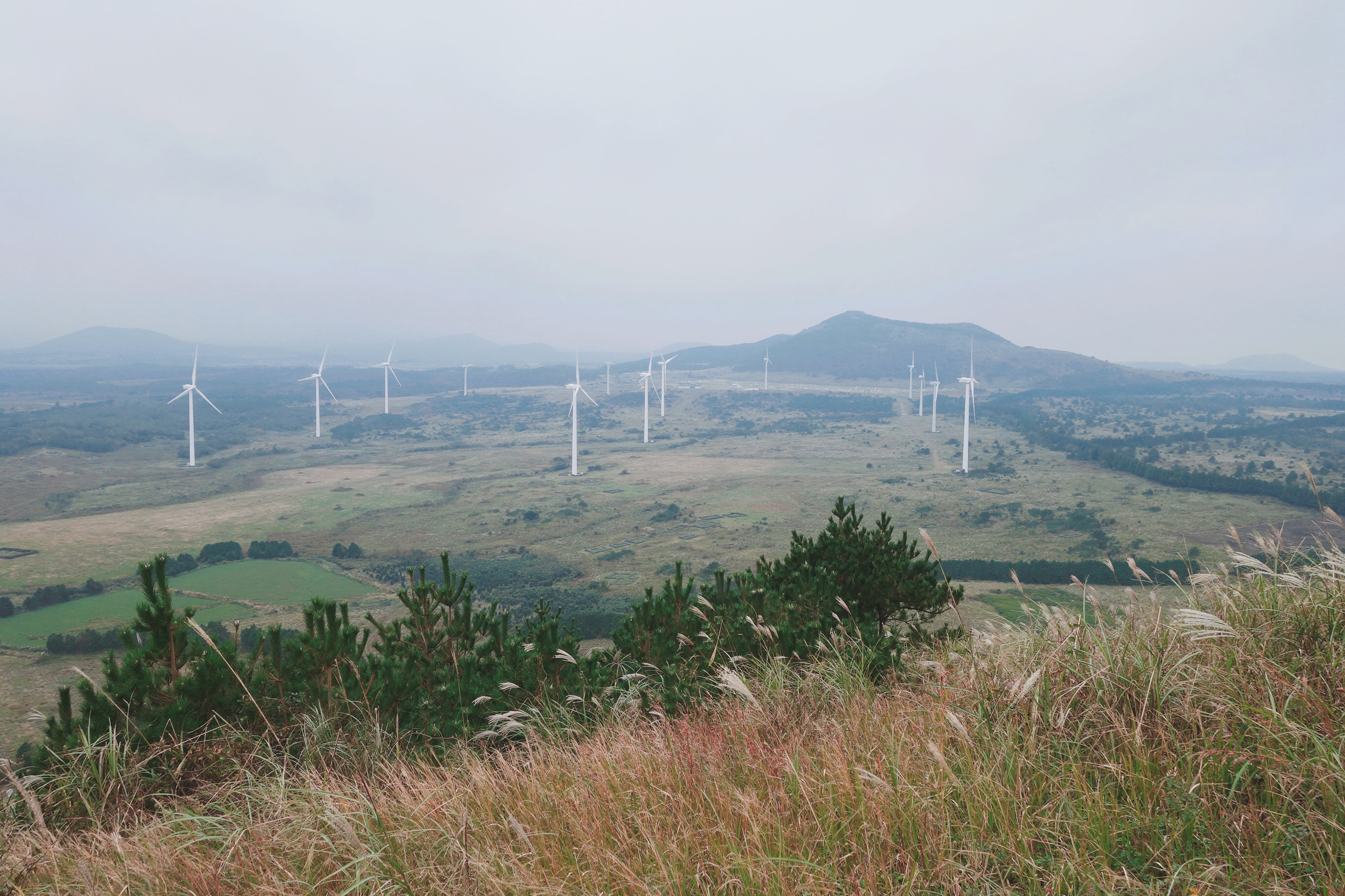 🇰🇷【濟州島】風吹紫芒花，小火山健行去！따라비오름