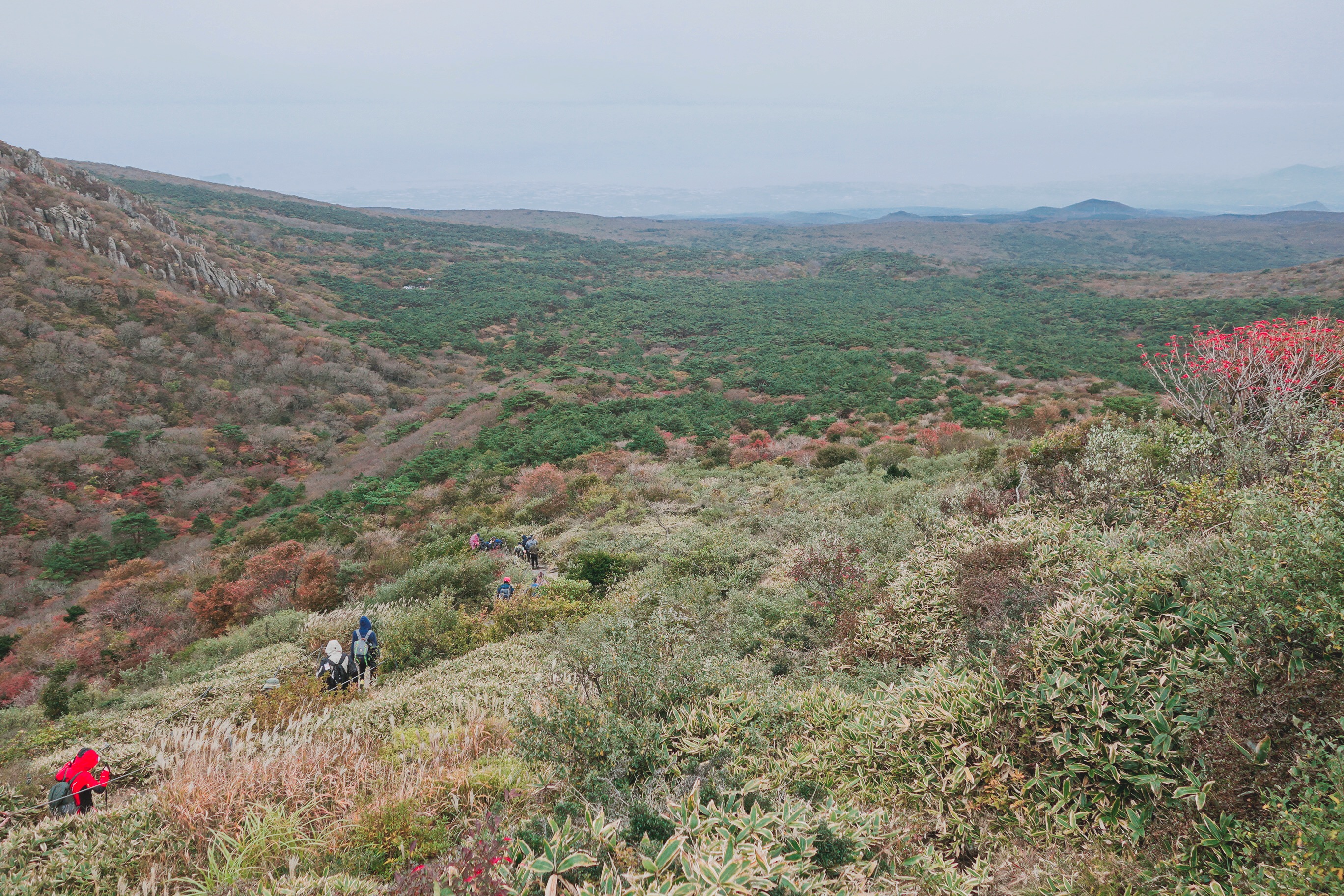 🇰🇷【濟州島】攀爬韓國第一高山：漢拿山 한라산 Hallasan