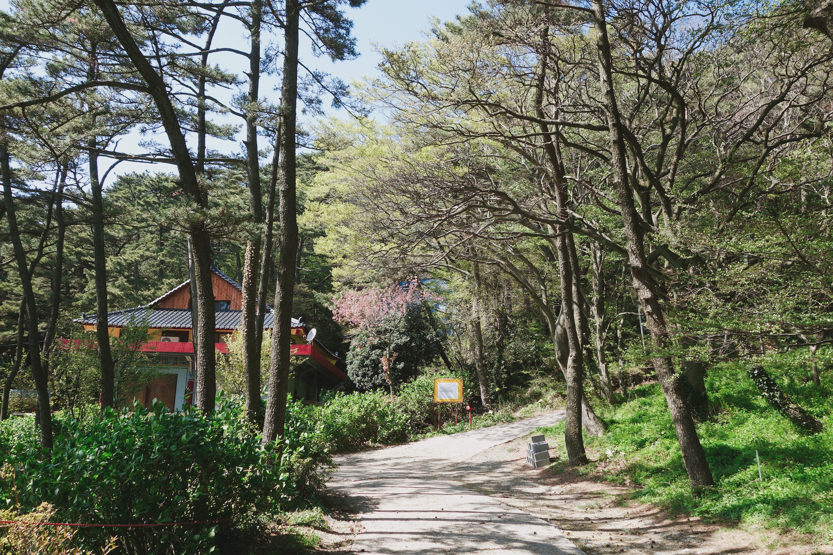 🇰🇷【釜山】全家郊遊好去處:太宗臺 태종대유원지 Taejongdae, Busan