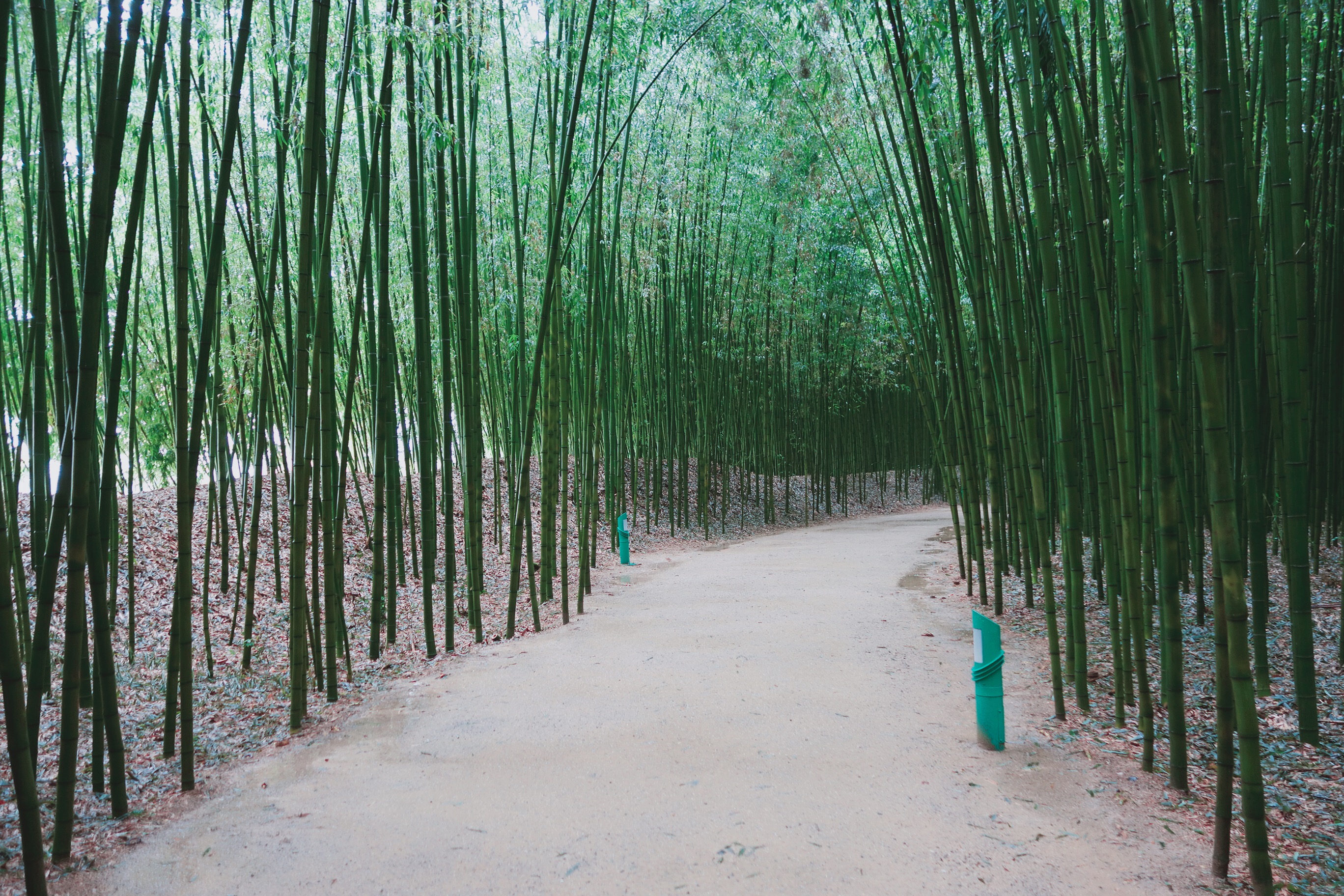 🇰🇷【蔚山、慶州】蔚山太和江公園+慶州佛國寺