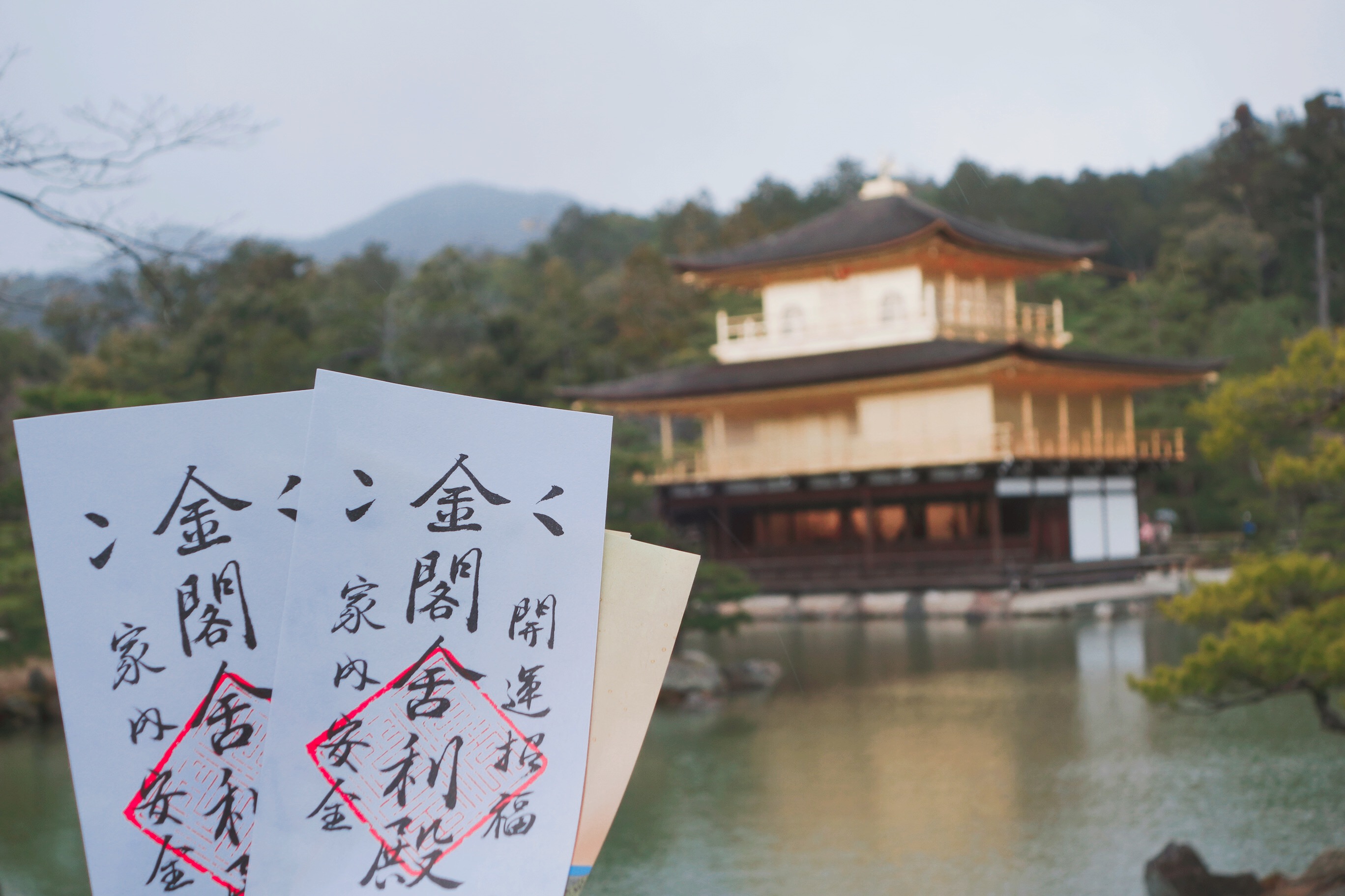 🇯🇵【京都】終於見到金閣寺本人了！ ろくおんじ Rokuonji Kyoto