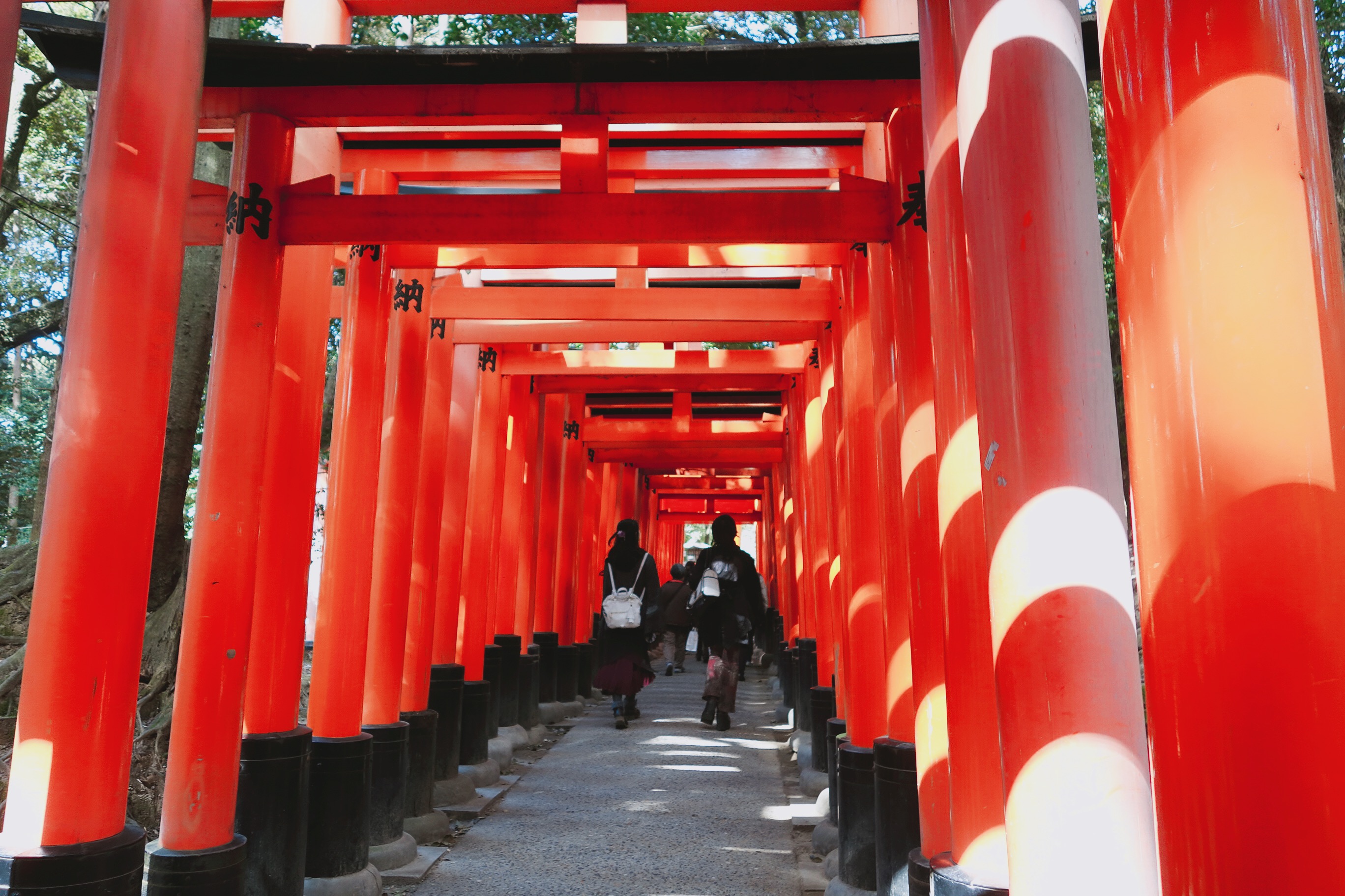 🇯🇵【京都】伏見稻荷大社 ふしみいなりたいしゃ Fushimi-Inari, Kyoto