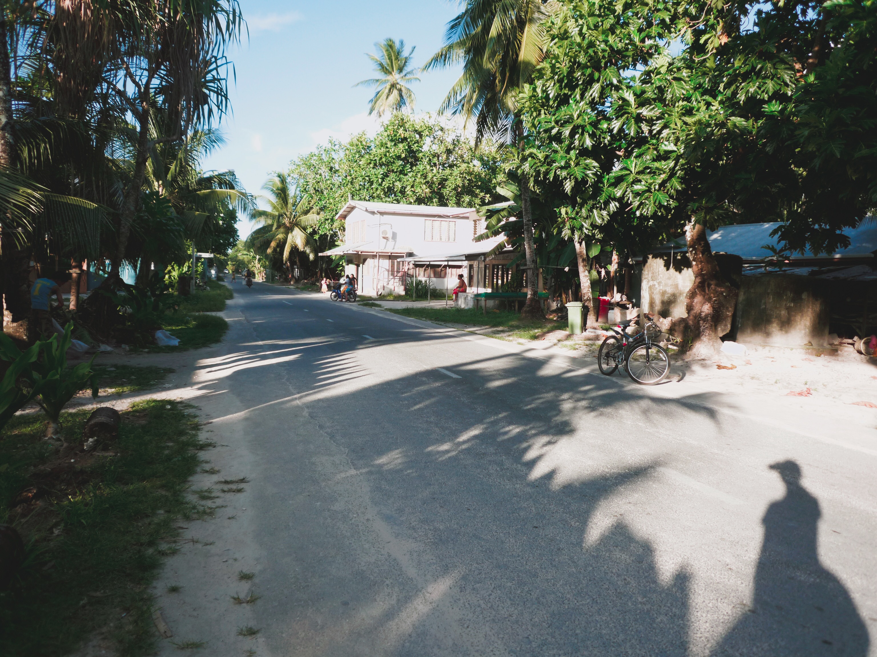 🇹🇻 海嘯來了之認識你真好！