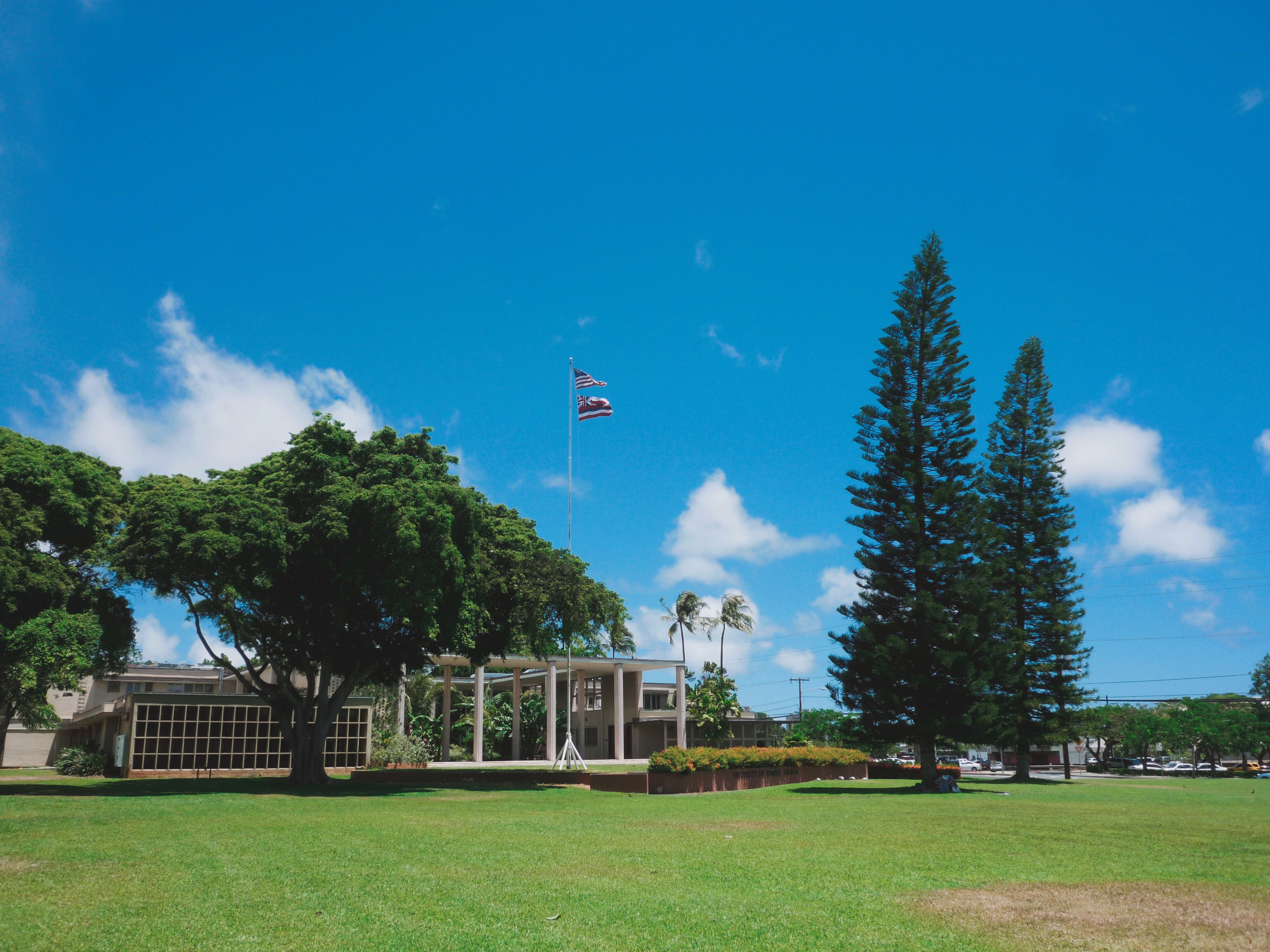 🇺🇸 全世界最快樂的大學：夏威夷大學∣UHM