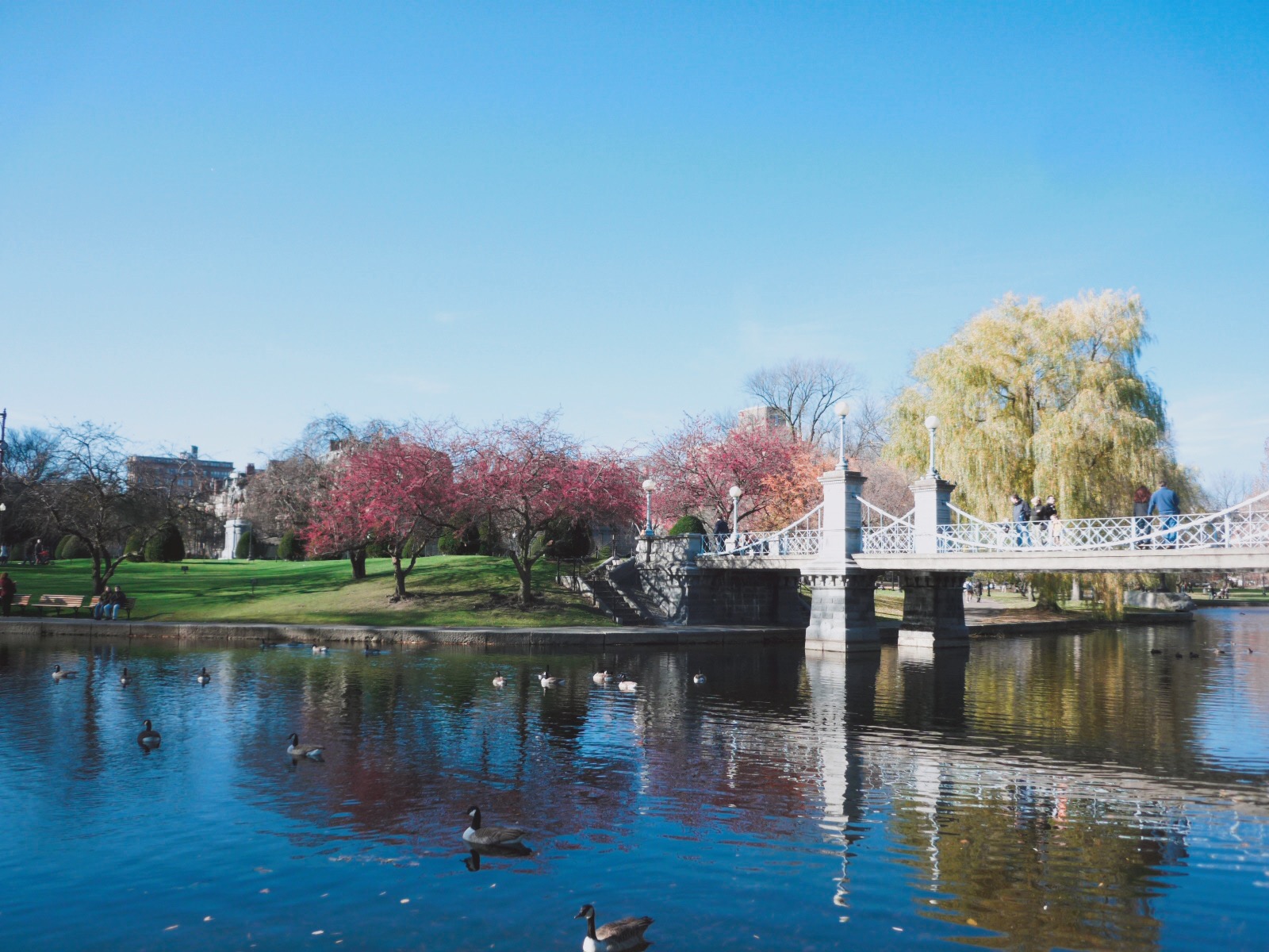 🇺🇸【波士頓】全波最美的公共花園｜Public Garden