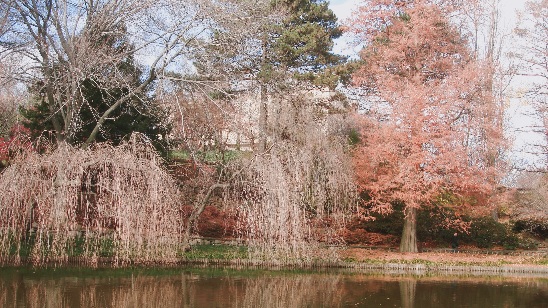 🇺🇸【紐約】最終回：布魯克林植物園Brooklyn Botanical Garden