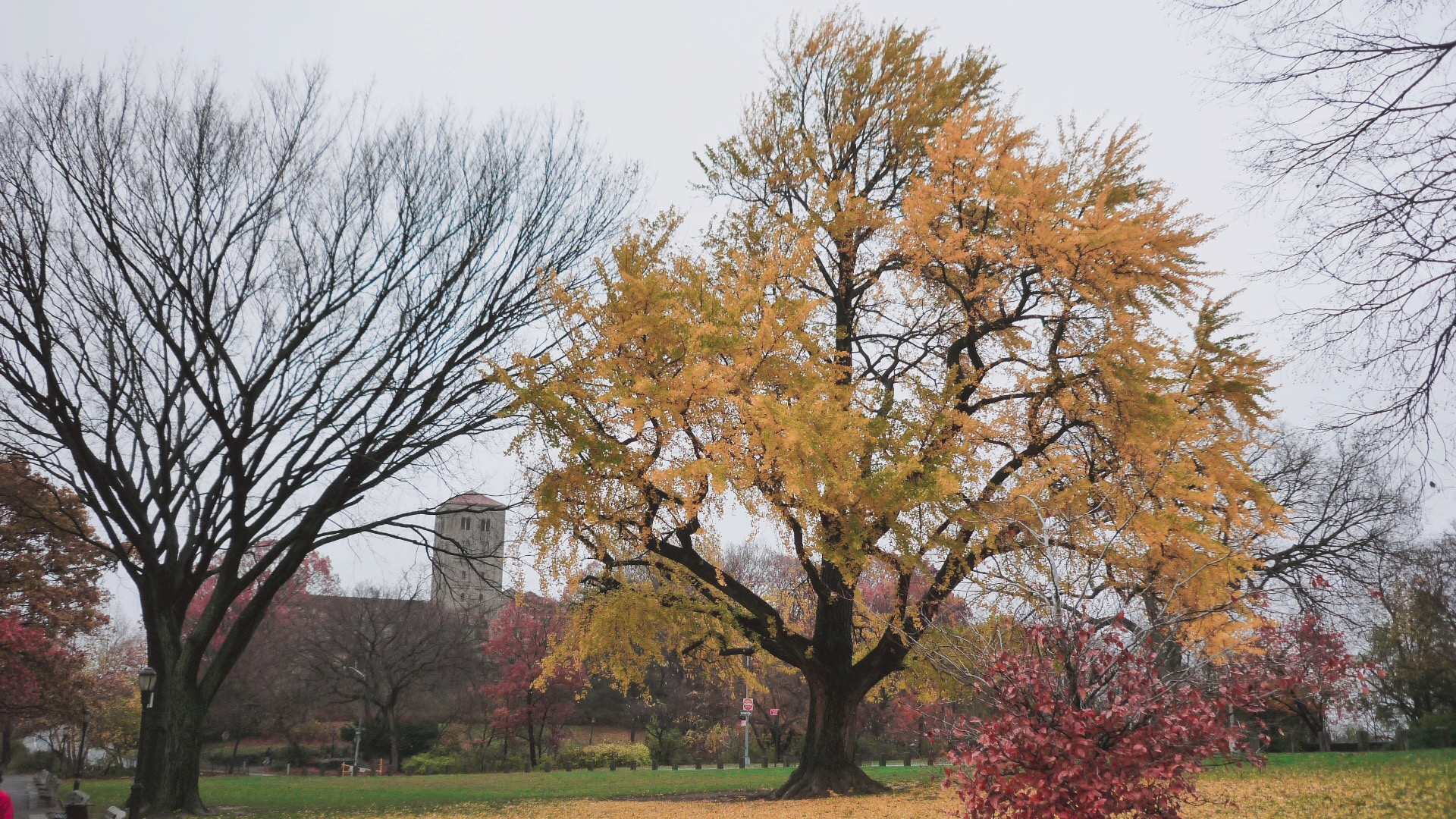 🇺🇸【紐約】中世紀藝術修道院分館The Cloisters∣PS1