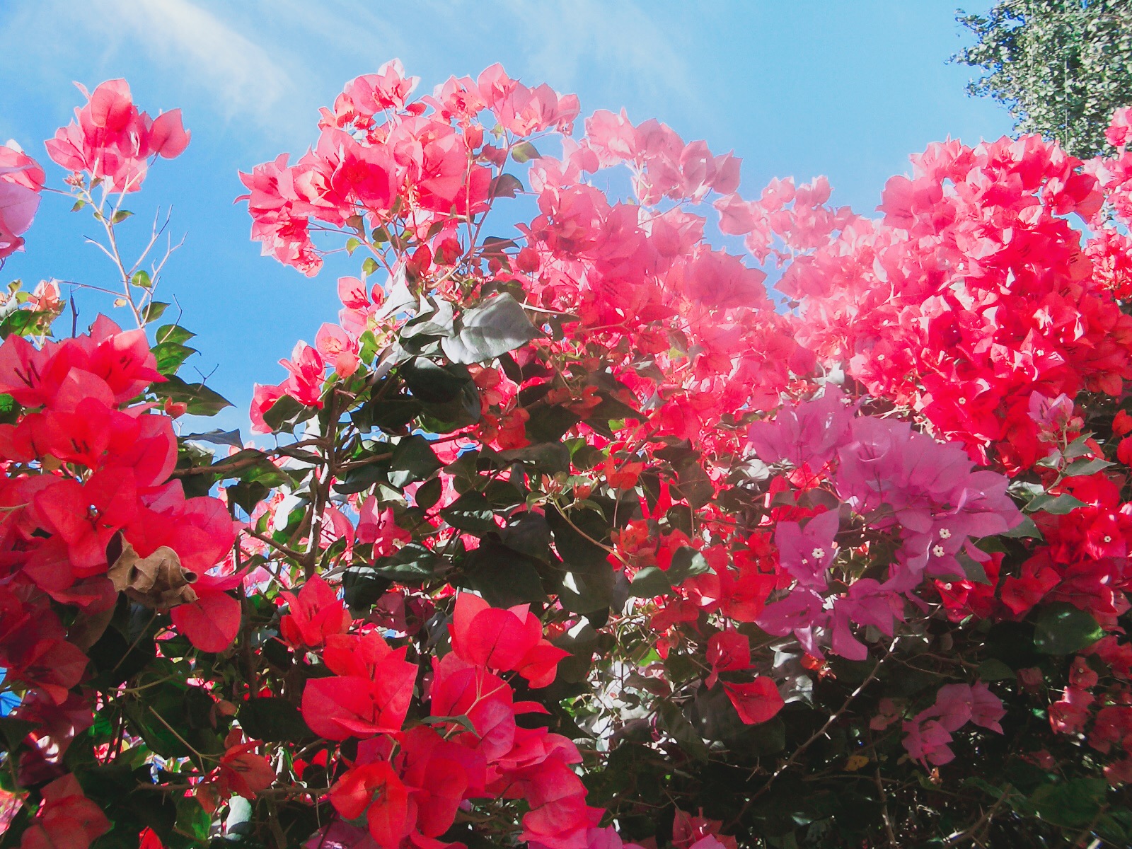 🇹🇭 慢活，從美索開始