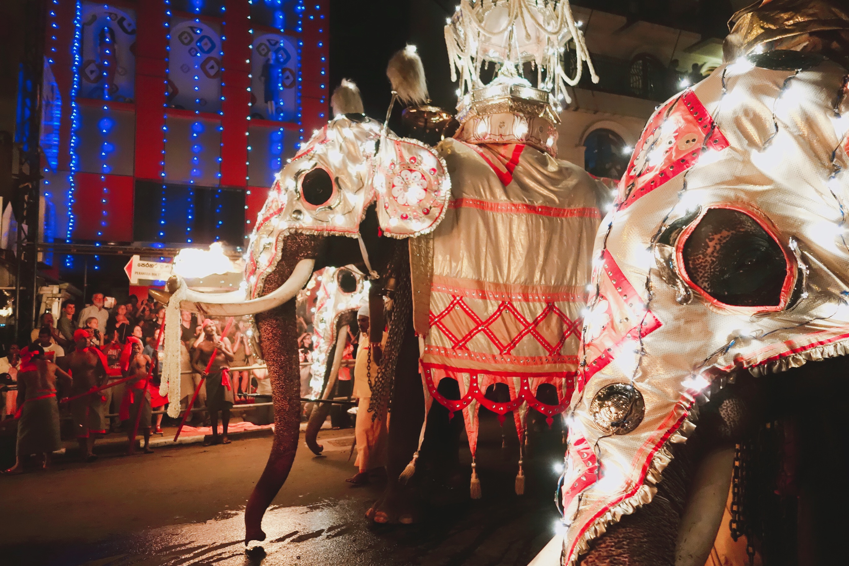 🇱🇰【斯里蘭卡】因為佛牙節,而愛上康提這座城市