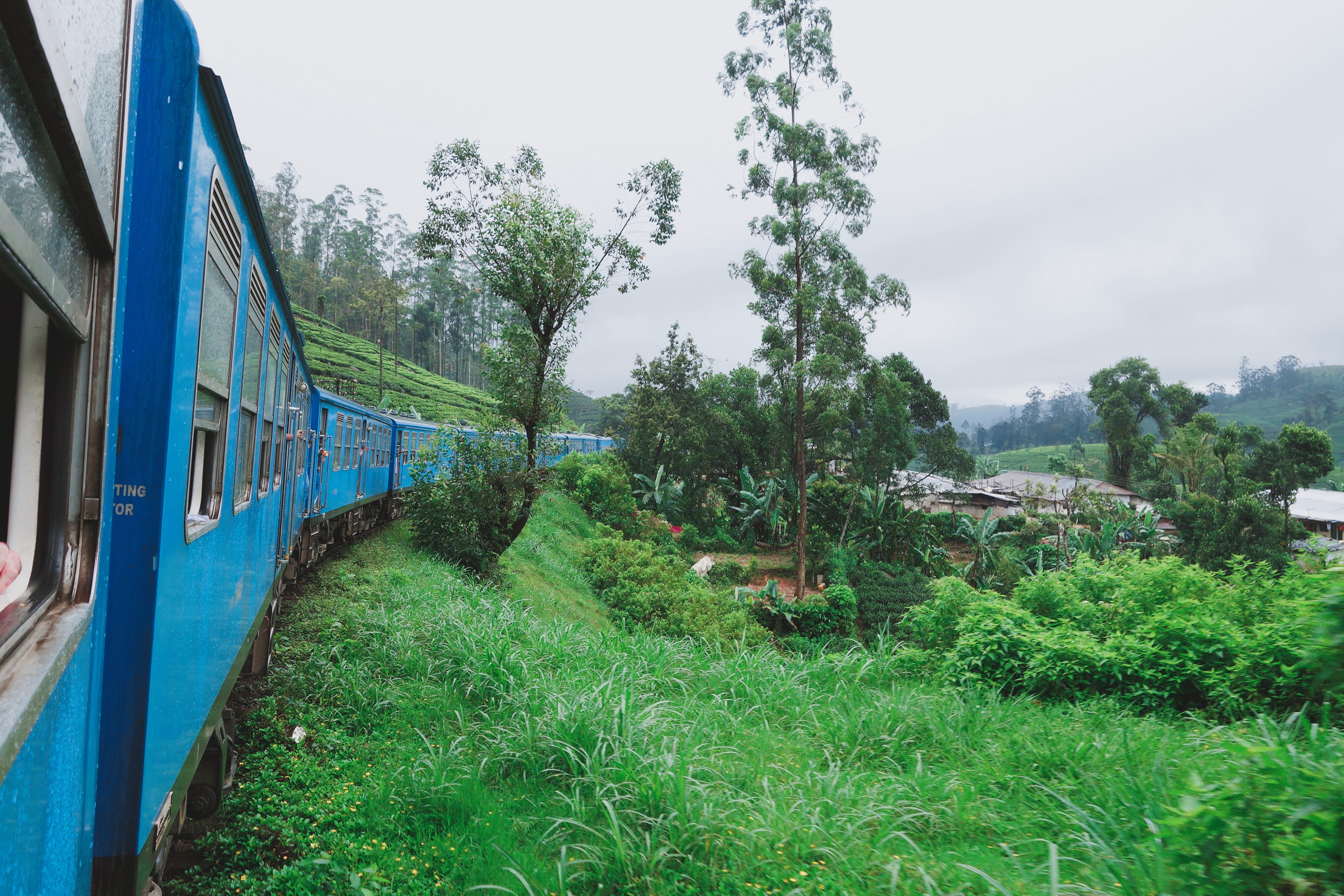 🇱🇰【斯里蘭卡】截自目前,搭過最美的森林火車!