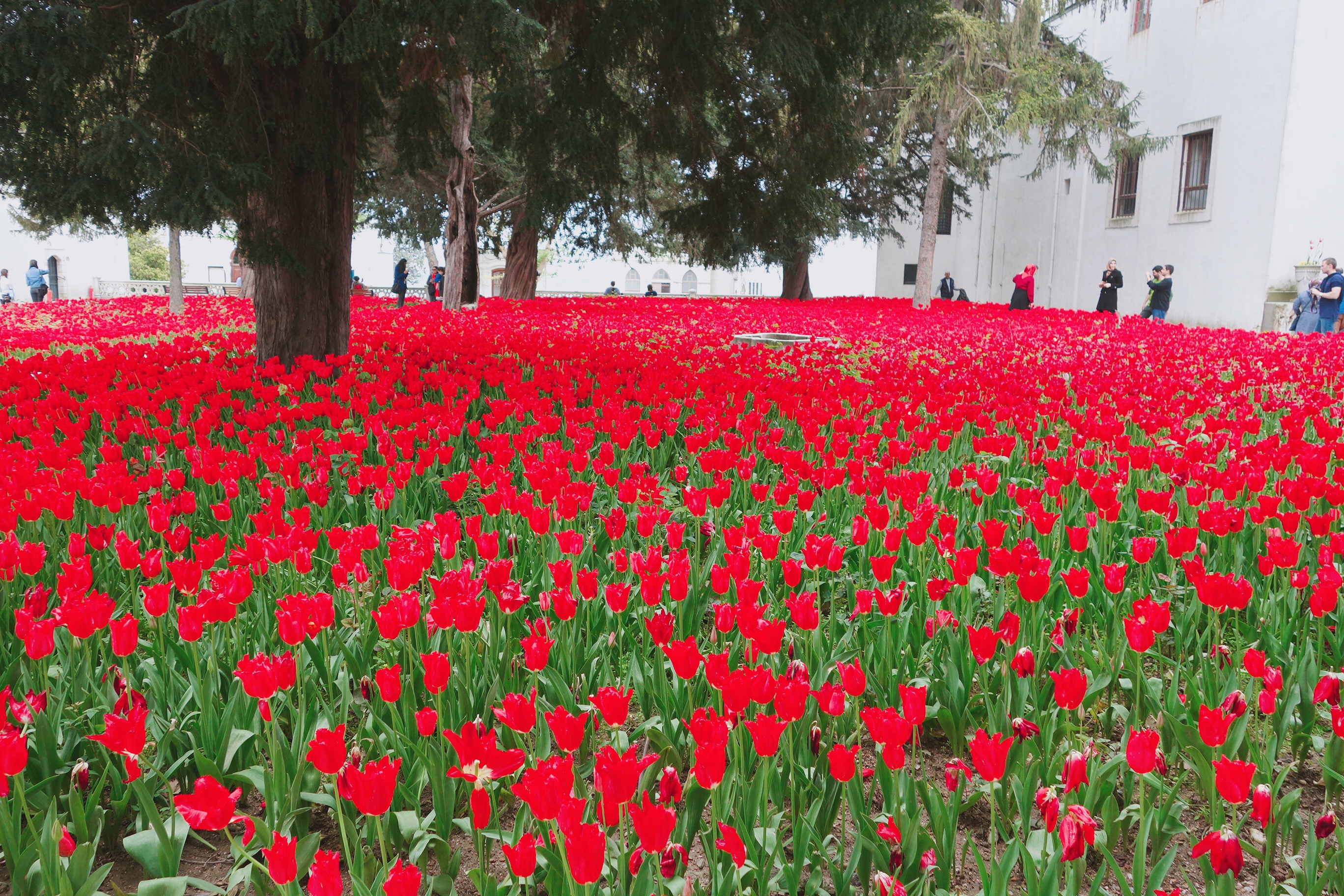🇹🇷【伊斯坦堡】鄂圖曼土耳其帝國的榮耀：托卡比皇宮 Topkapi Palace