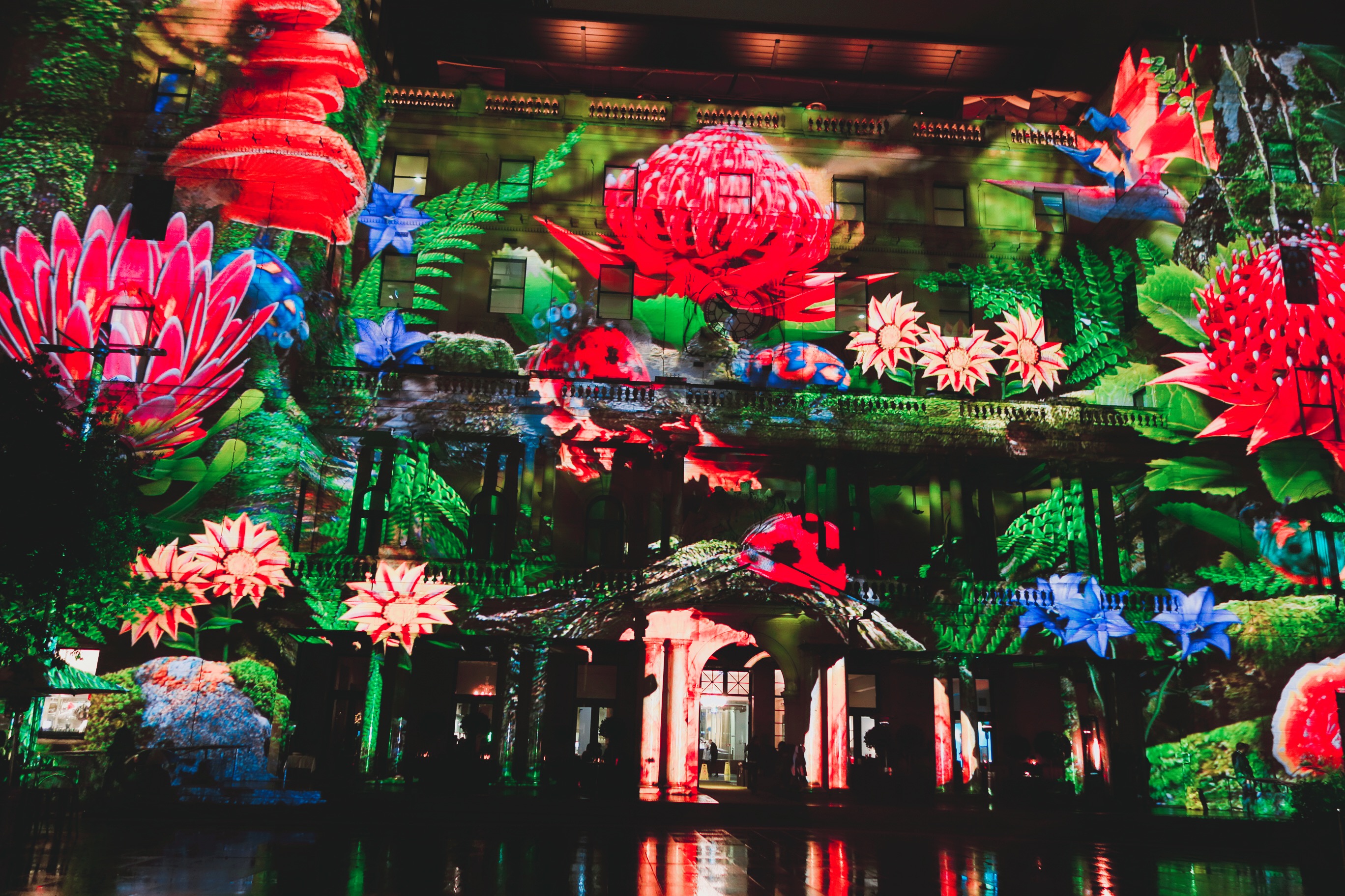 🇦🇺【雪梨】絢爛每一晚:雪梨燈光藝術節Vivid Sydney(內有影片)