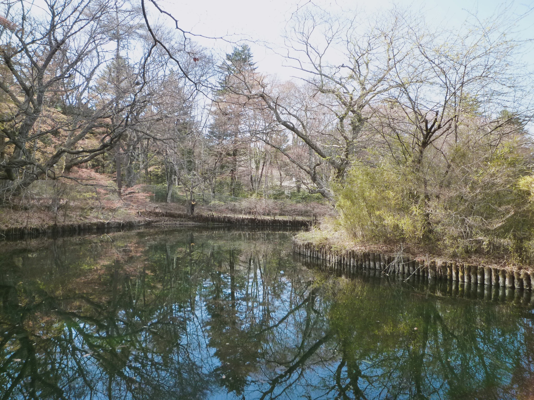 🇯🇵【輕井澤】四季風情迥異的雲場池
