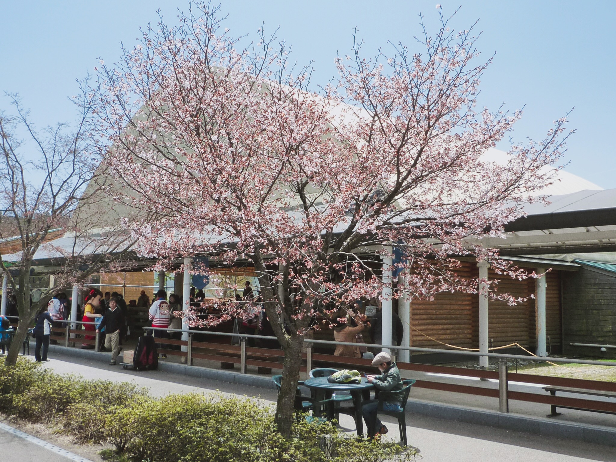 🇯🇵【輕井澤】果然是美不勝收的好地方 (含購票與交通資訊)