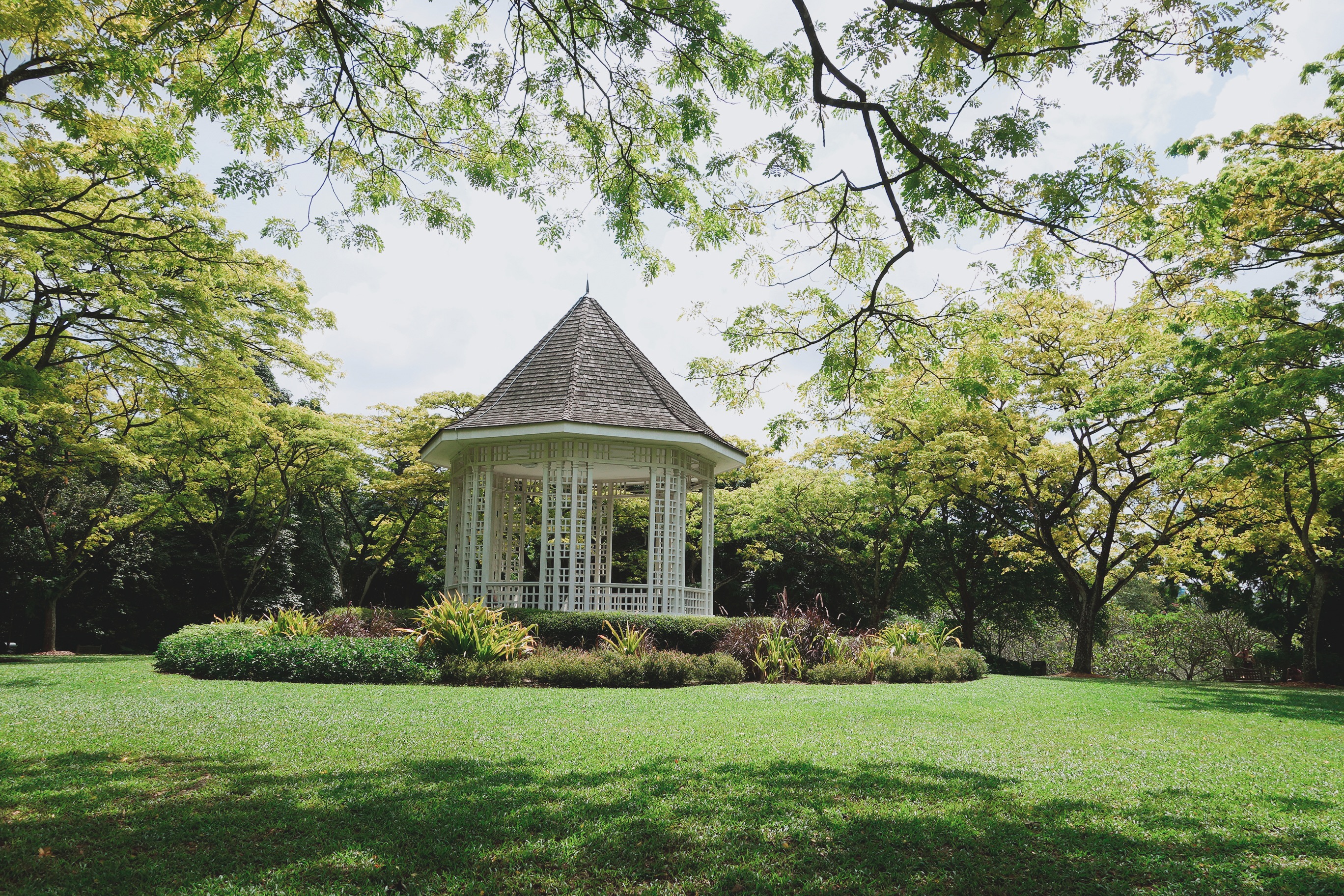 🇸🇬【新加坡】超人氣免費景點：新加坡植物園 Singapore Botanic Gardens