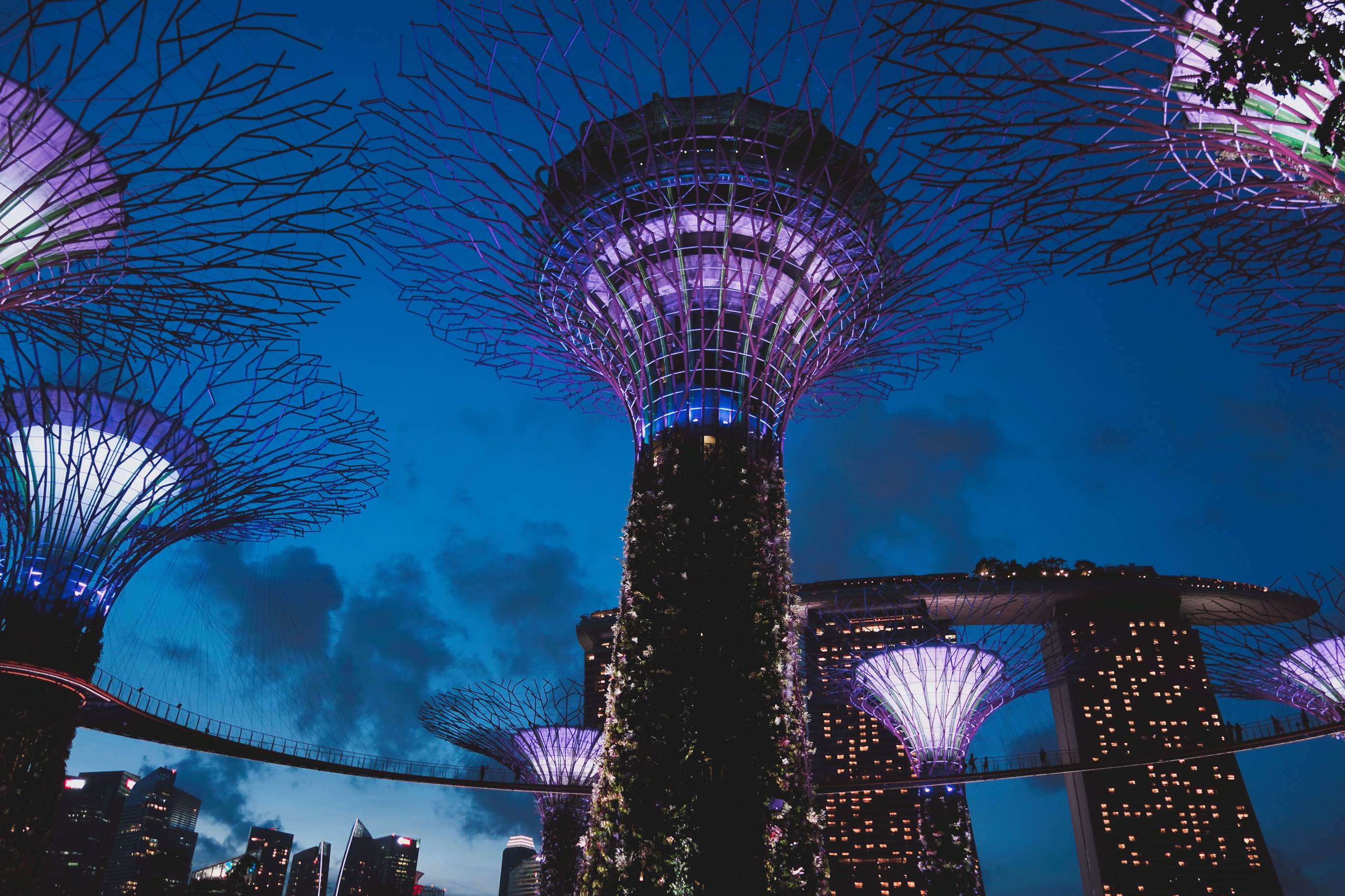 🇸🇬【新加坡】去4次也不膩的濱海灣花園！Gardens by the Bay（內有影片）
