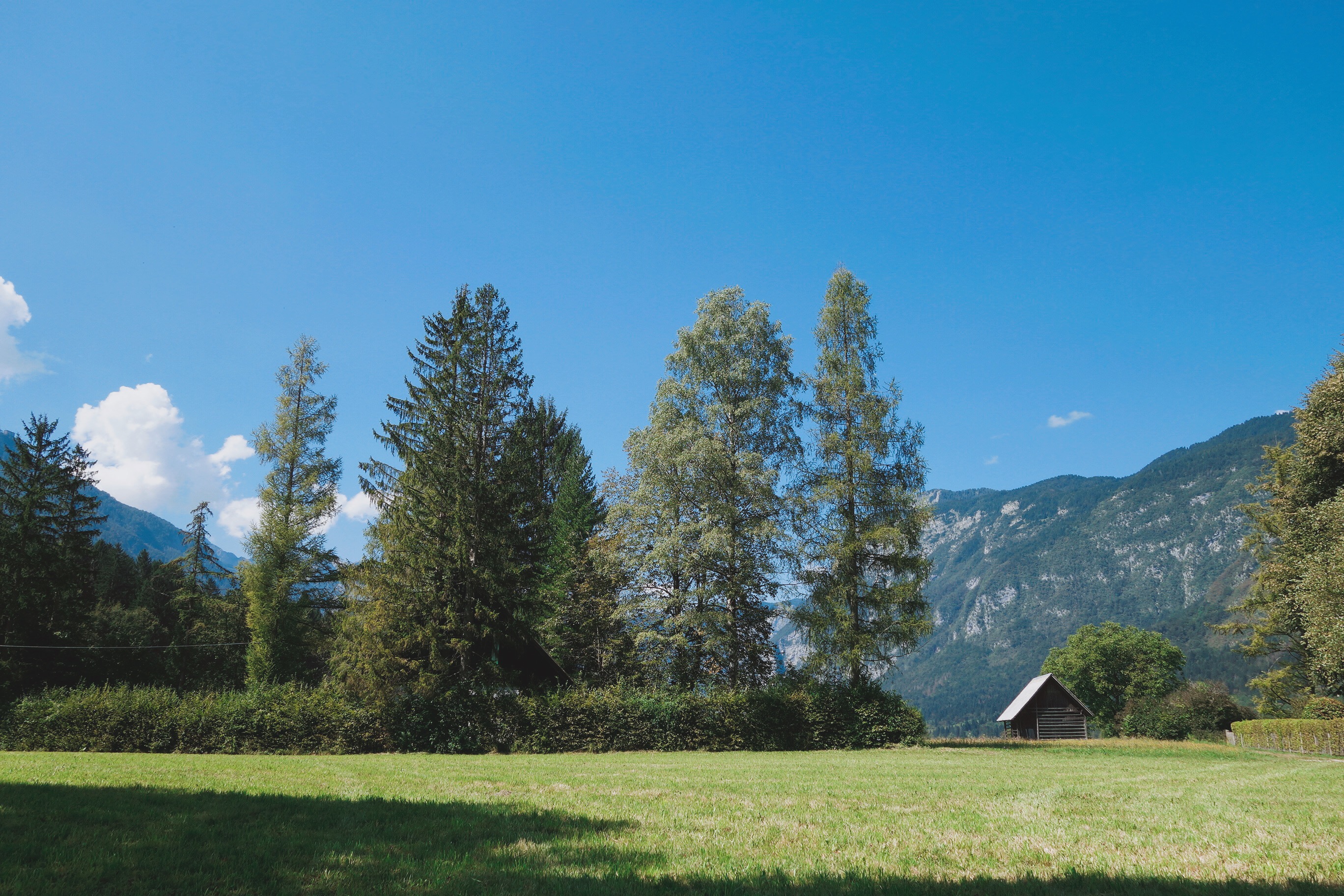 🇸🇮【斯洛維尼亞】住在仙境裡，波茵湖住宿：Hotel Stare Bohinj, Slovenia（內有影片）