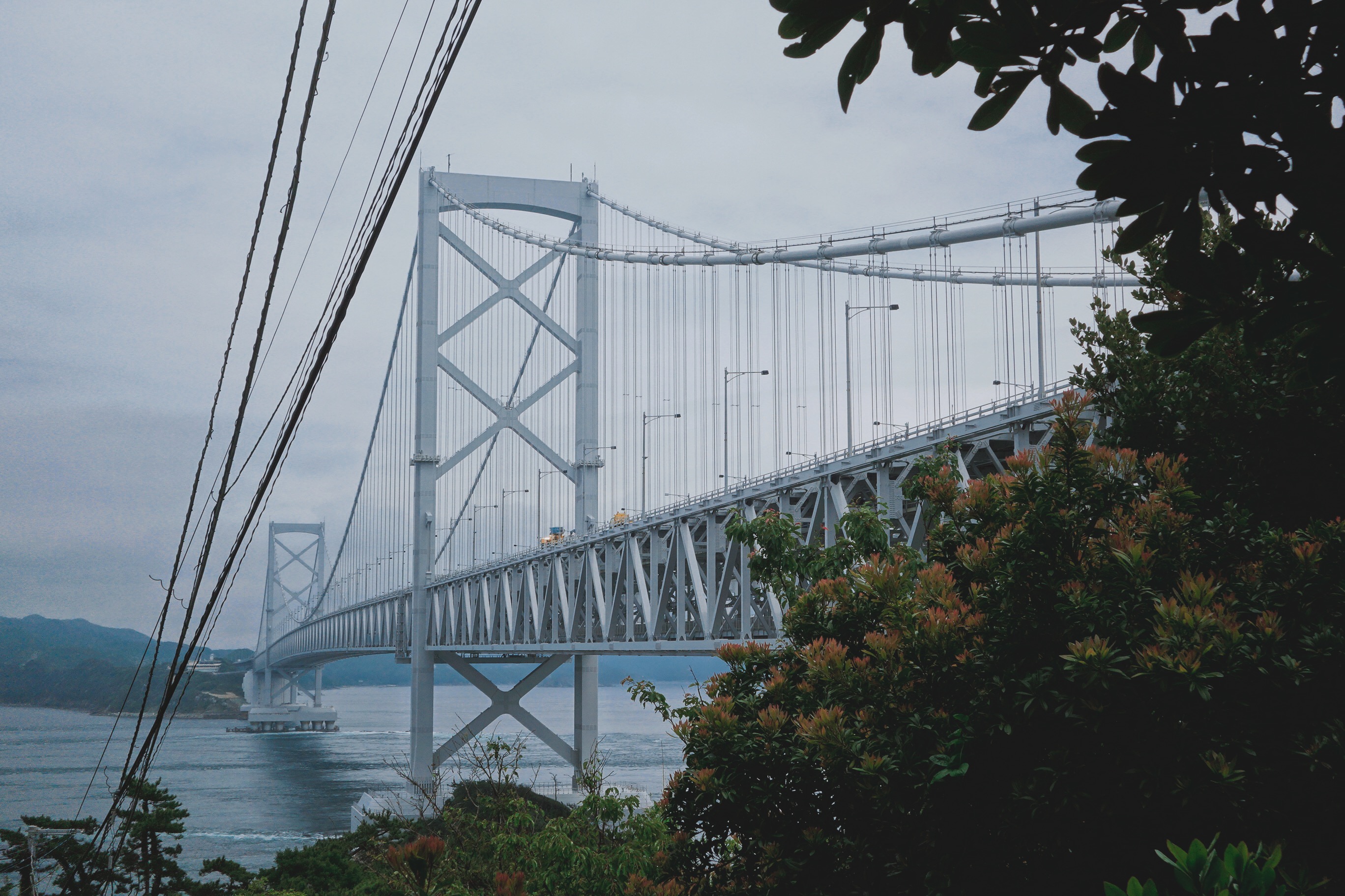 🚢【公主遊輪 Princess Cruise】瘋狂公車遊德島，觀看鳴門渦潮