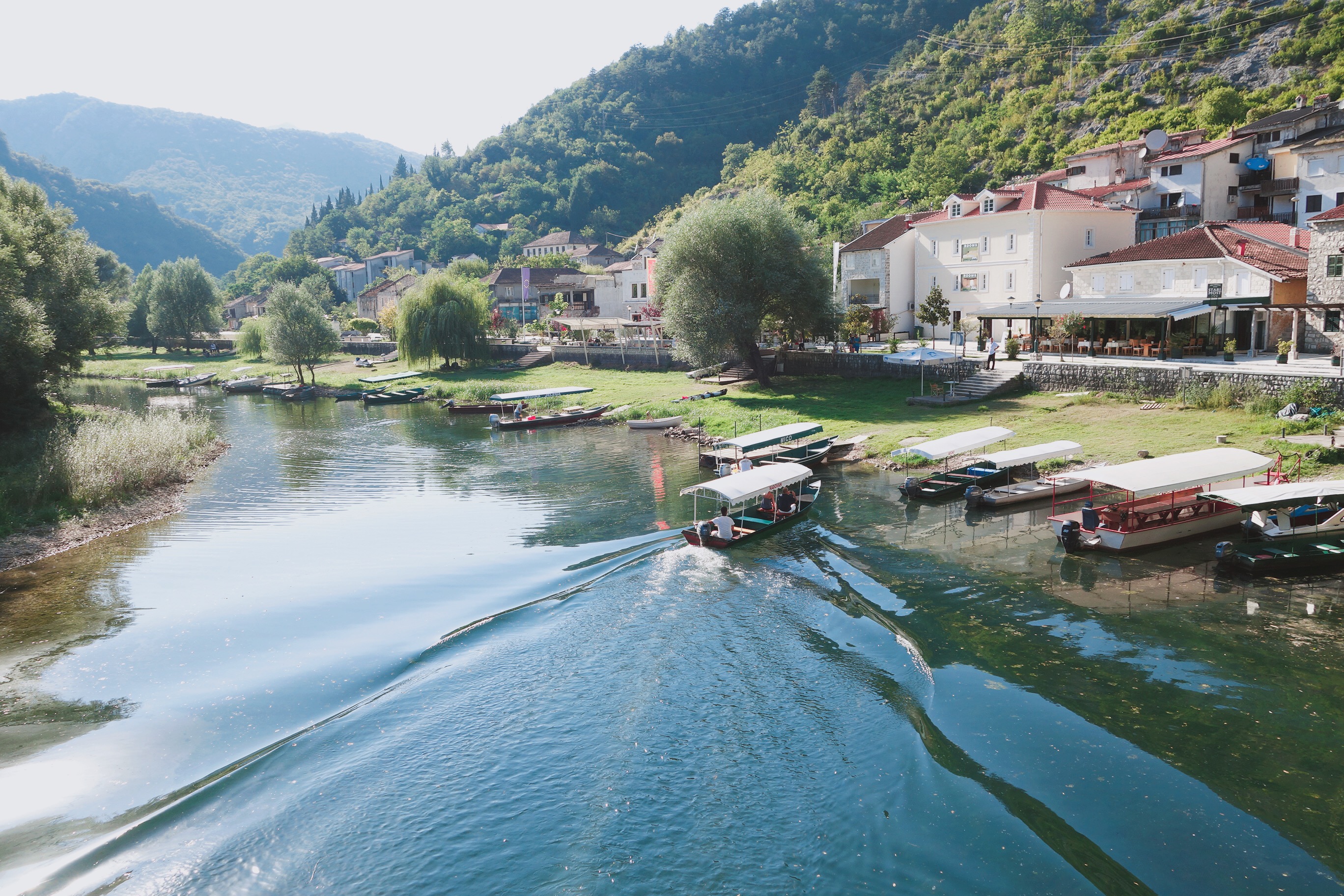 🇲🇪【蒙特內哥羅】最美的橋、斯庫台湖 Skadar Lake National Park, Montenegro(內有影片)