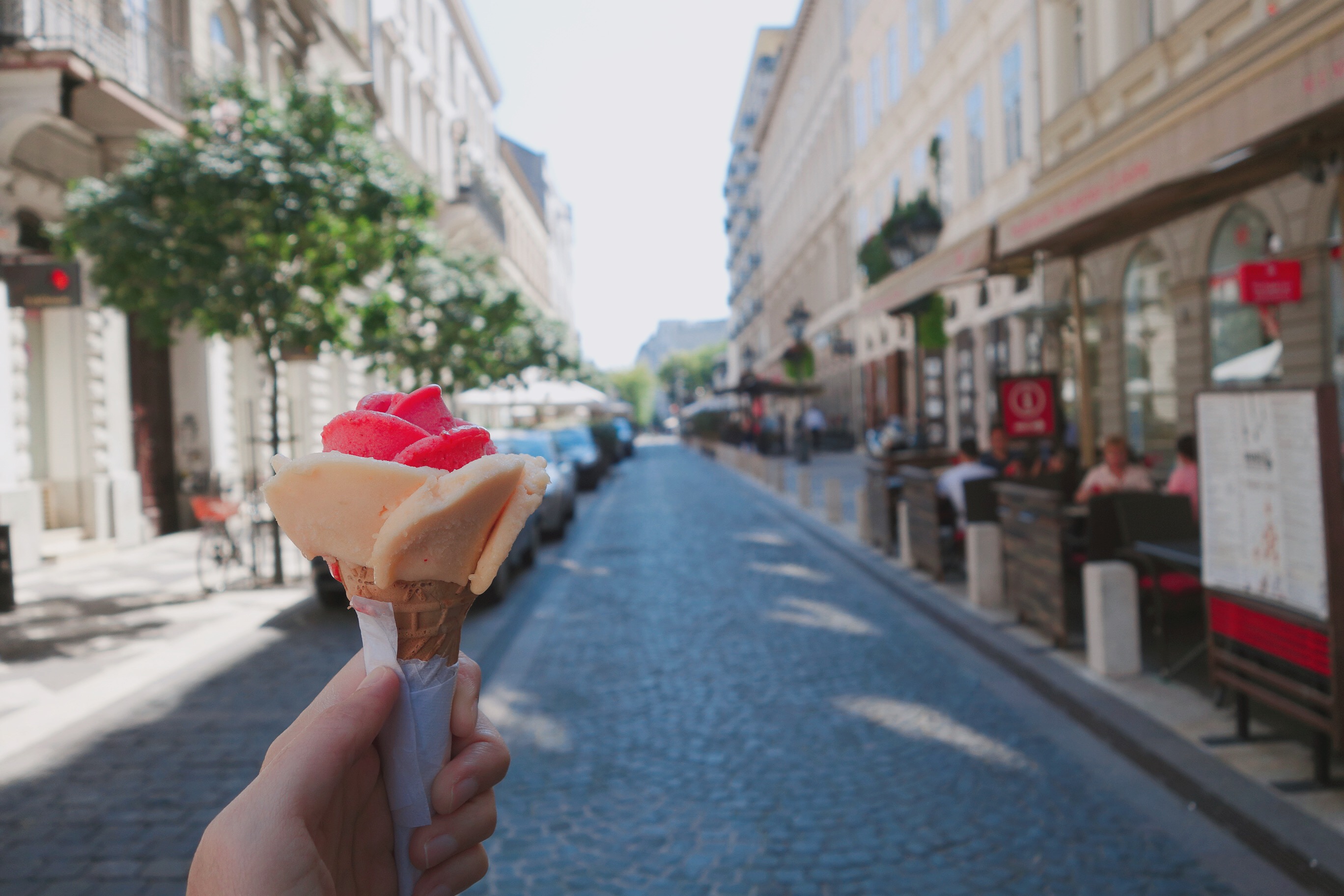 🇭🇺【布達佩斯】平價又美味的玫瑰花冰淇淋 Ice- Cream Rose: Gelarto Rosa, Budapest（內有影片）