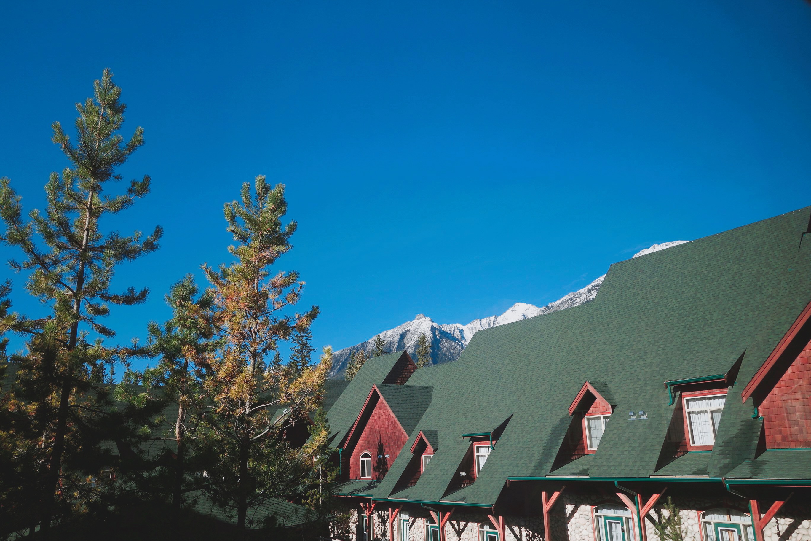 🇨🇦 加拿大 | 我們在坎莫爾的家：Mystic Springs Chalets & Hot Pools, Canada
