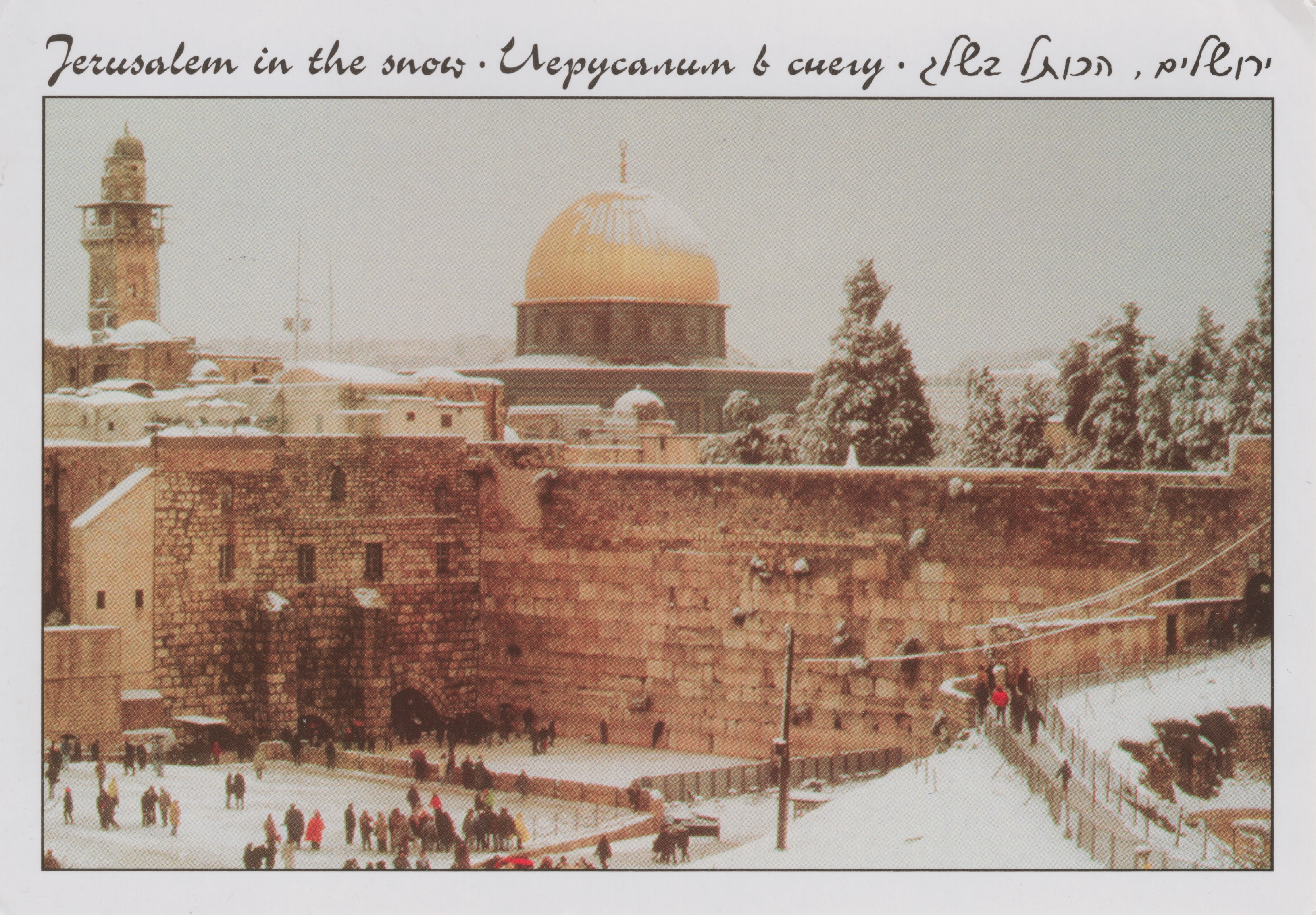 🇮🇱 明信片 | 以色列 Israel