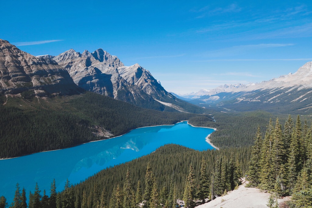 🇨🇦 加拿大 | 班夫群山包圍的藍寶石：沛托湖 Peyto Lake, Canada