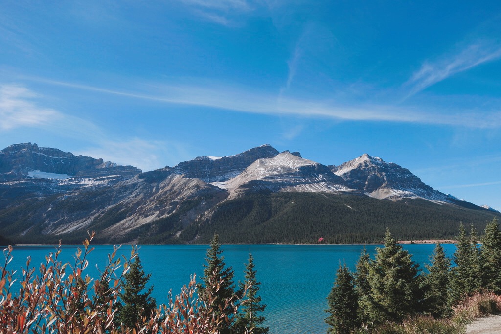 🇨🇦 加拿大 | 冰原公路上的寧靜湖泊：弓湖、鴉腳冰川 Tranquil Lake on Icefields Parkway: Bow Lake、Crowfoot Glacier, Canada