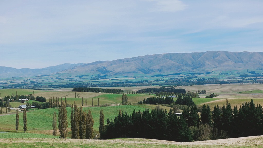 🇳🇿 紐西蘭 | 基督城前往蒂卡波的路上，邂逅清新花園咖啡店 On the road to Tekapo from Christchurch, taking a rest at the garden coffee shop, New Zealand