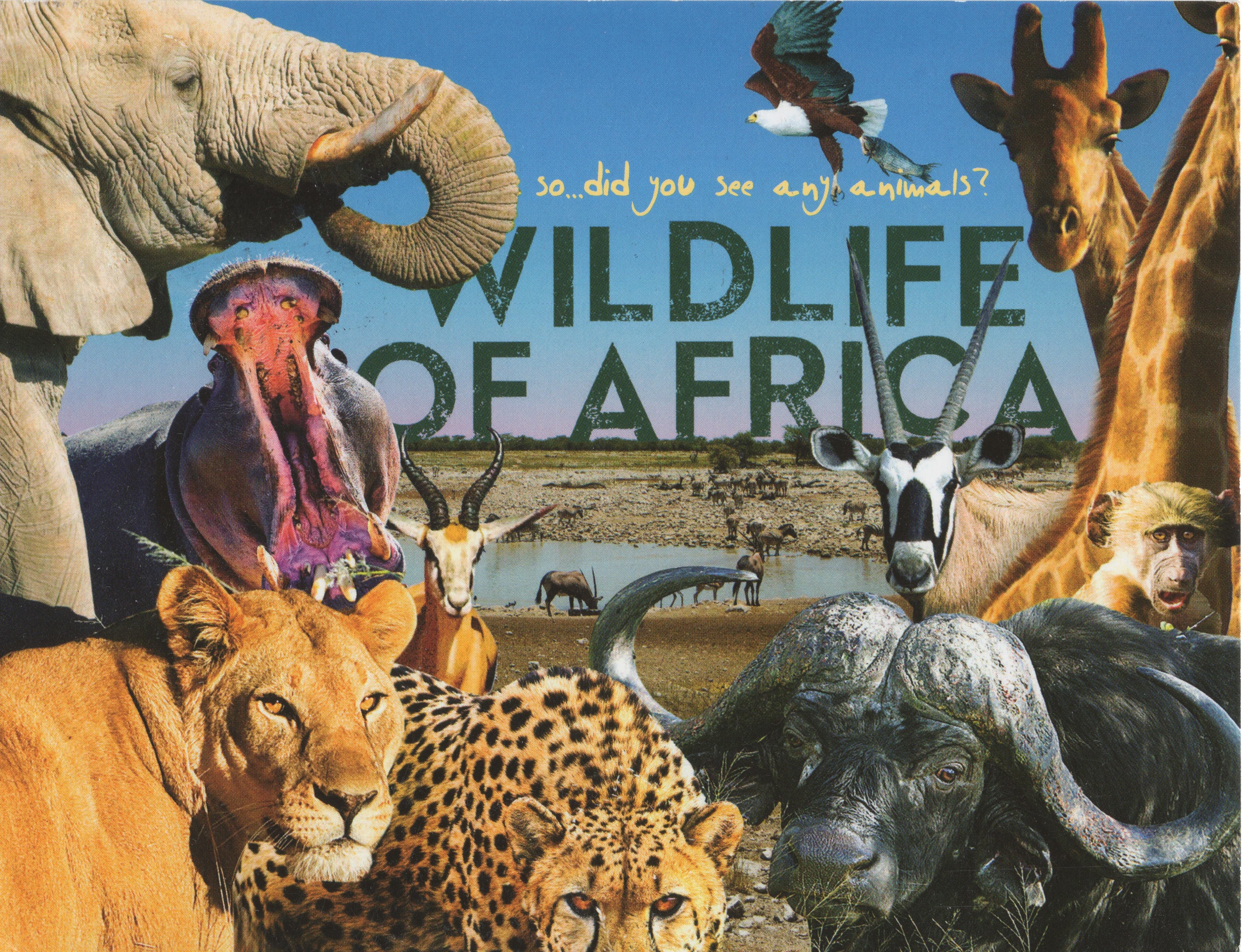 🇳🇦 明信片 | 納米比亞 Namibia