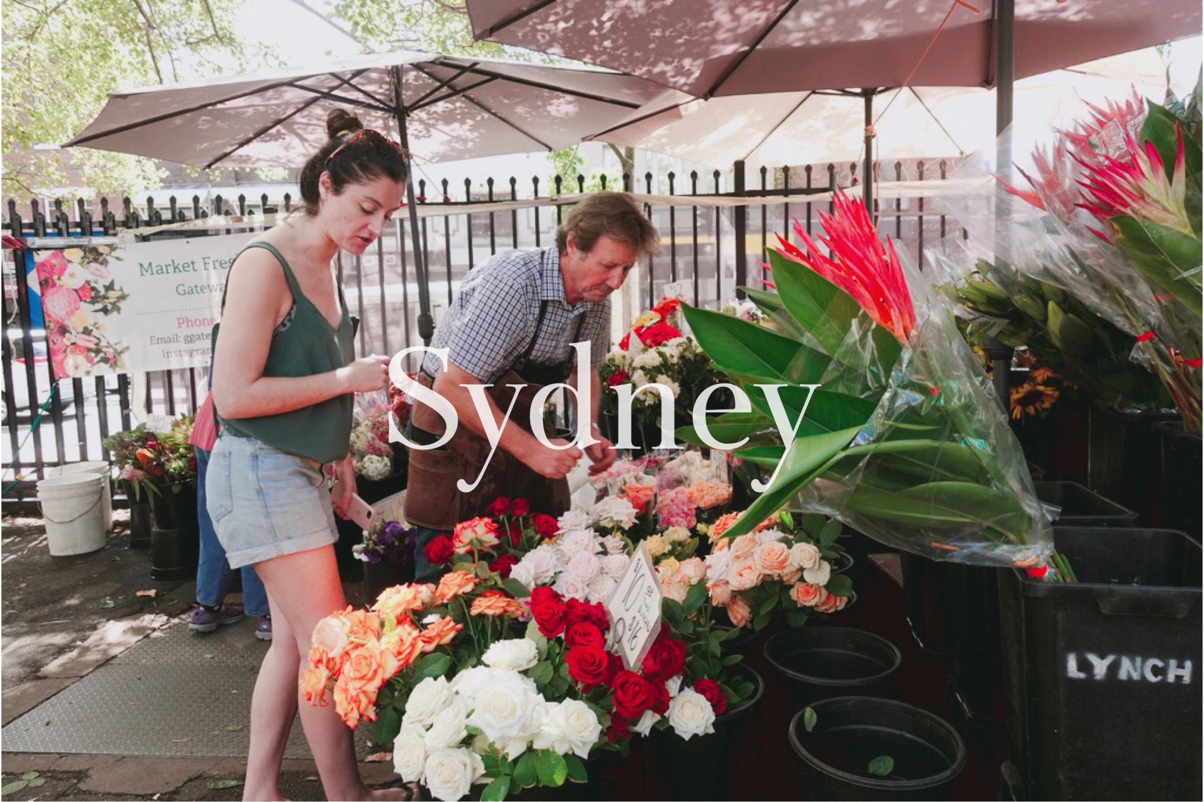 🇦🇺 雪梨 | 週六逛逛創意手作市集:帕丁頓市集 Paddington Markets, Australia