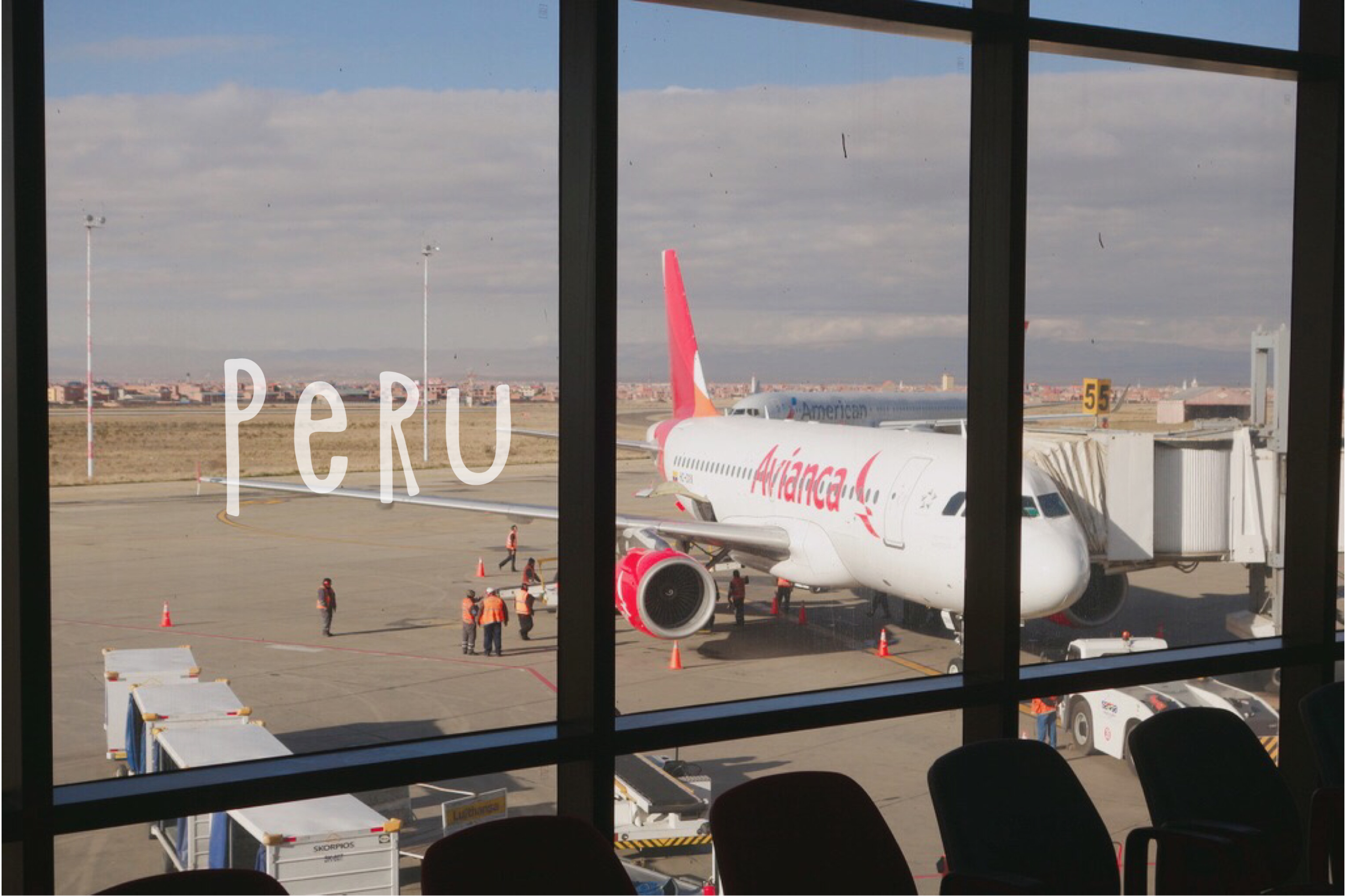 🇵🇪 秘魯 | 哥倫比亞航空 Airbus319 拉巴斯->利馬 Avianca AV7391 LPB-LIM