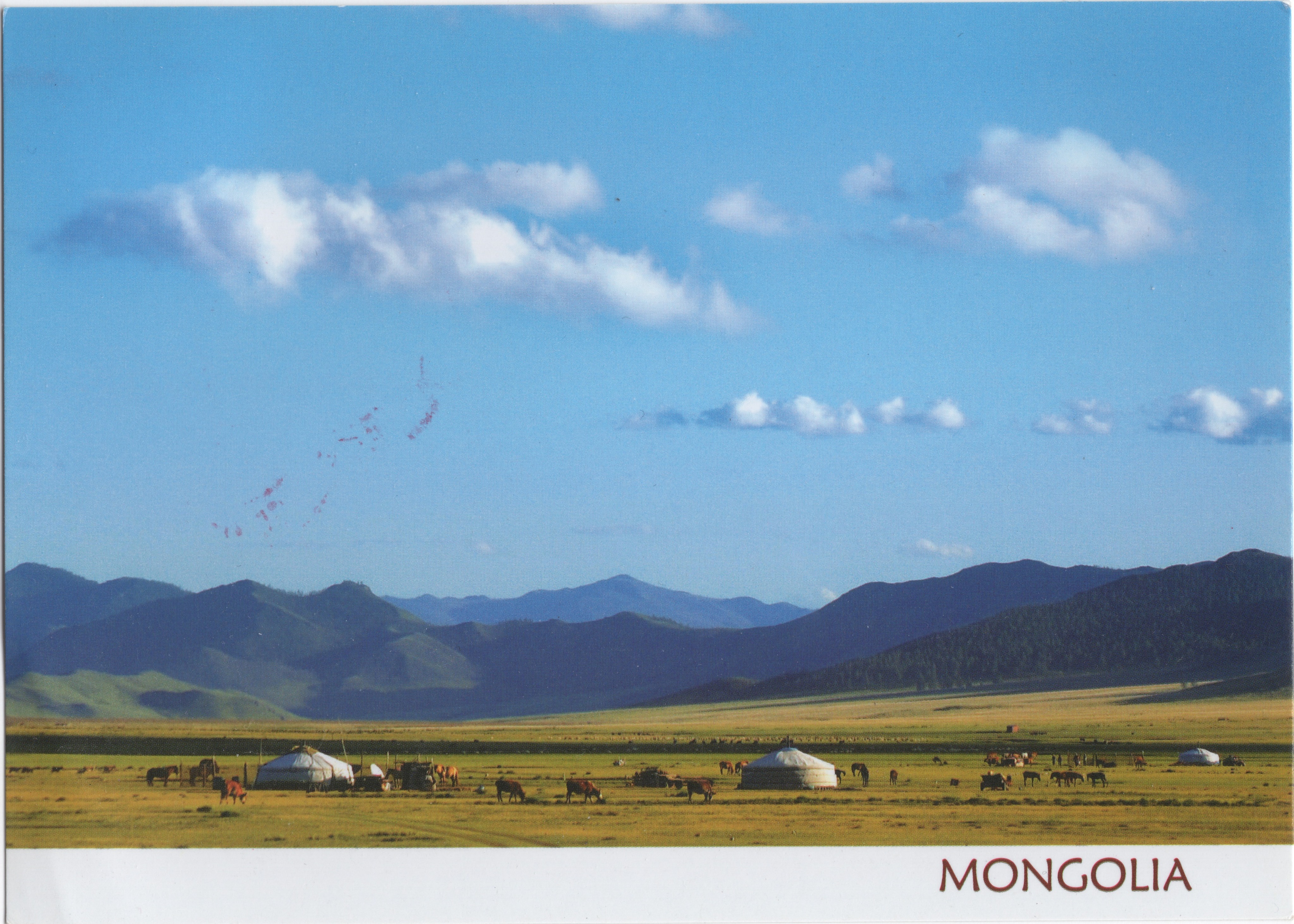 🇲🇳 明信片 | 蒙古國 Mongolia