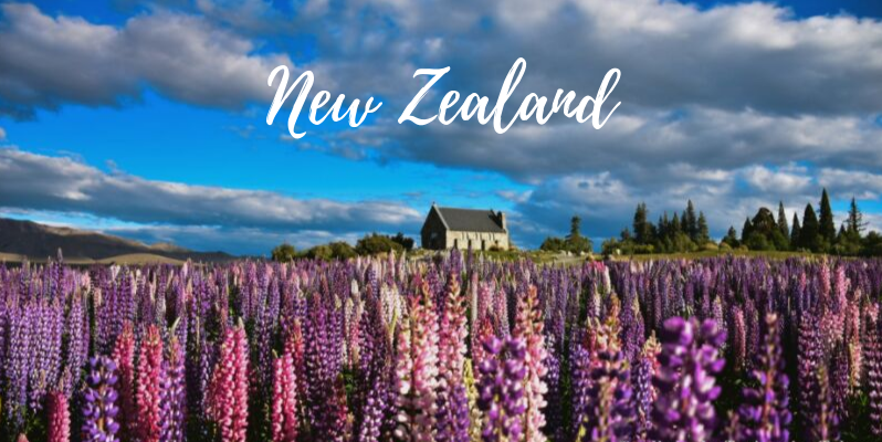 🇳🇿 紐西蘭 | 攝影人最愛的星空 / 魯冰花海 蒂卡波湖畔教堂：牧羊人教堂 Church of the Good Shepherd, New Zealand