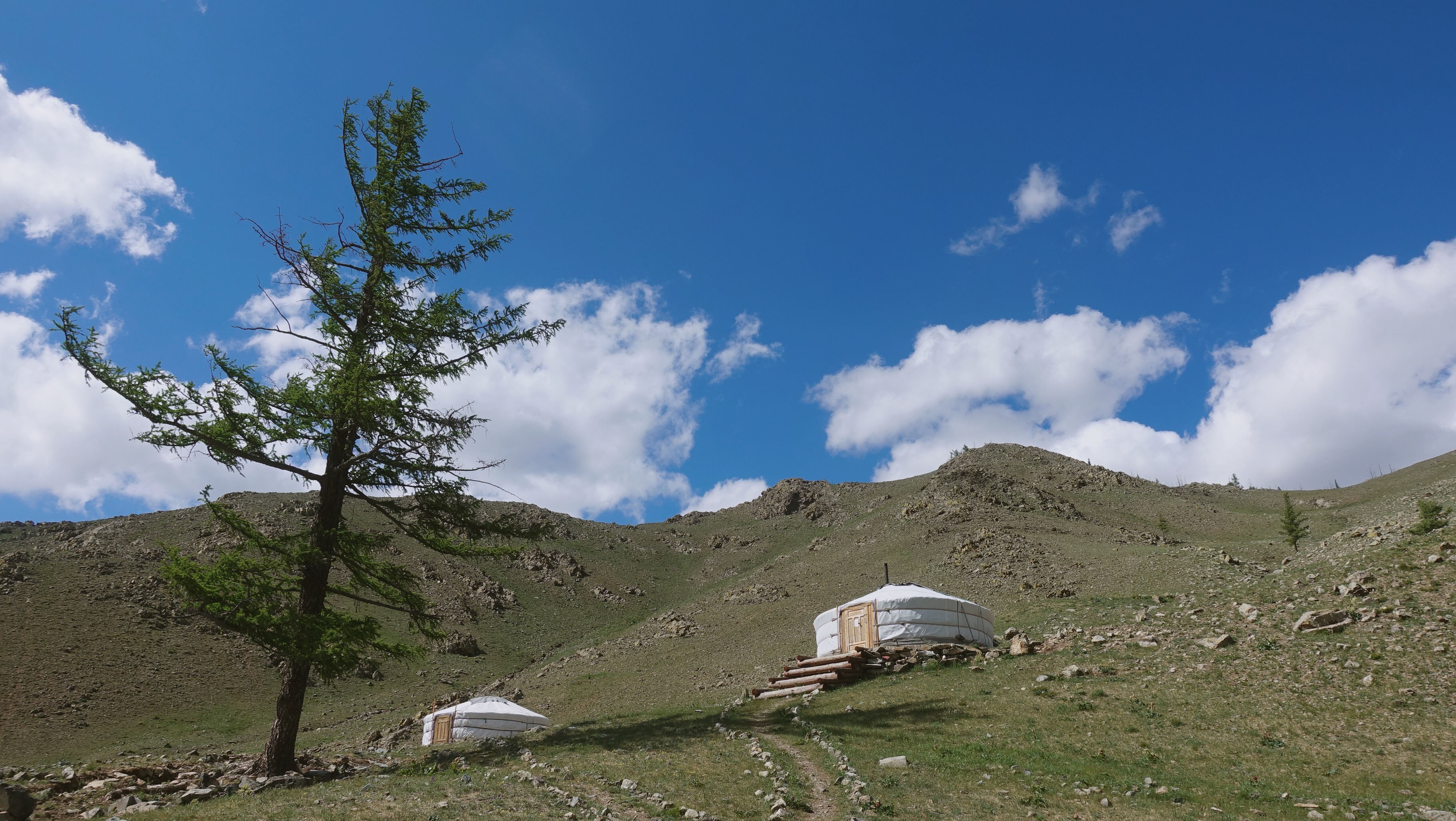 mybest ╳ Ivy,不在家! 我的蒙古愛用品