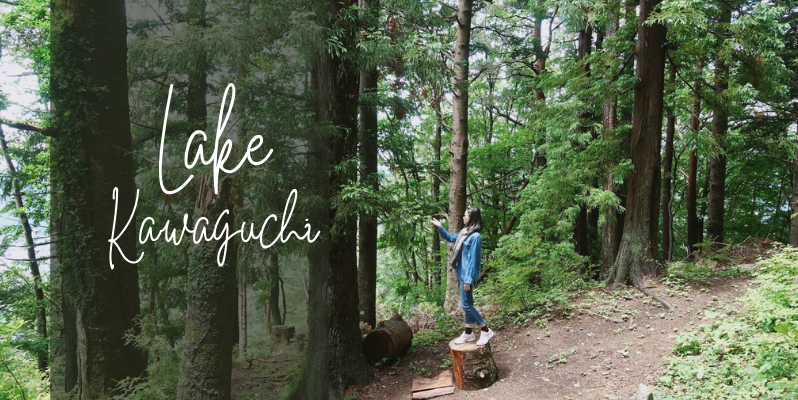 🇯🇵 河口湖纜車，欣賞富士山景首選！享受森林芬多精