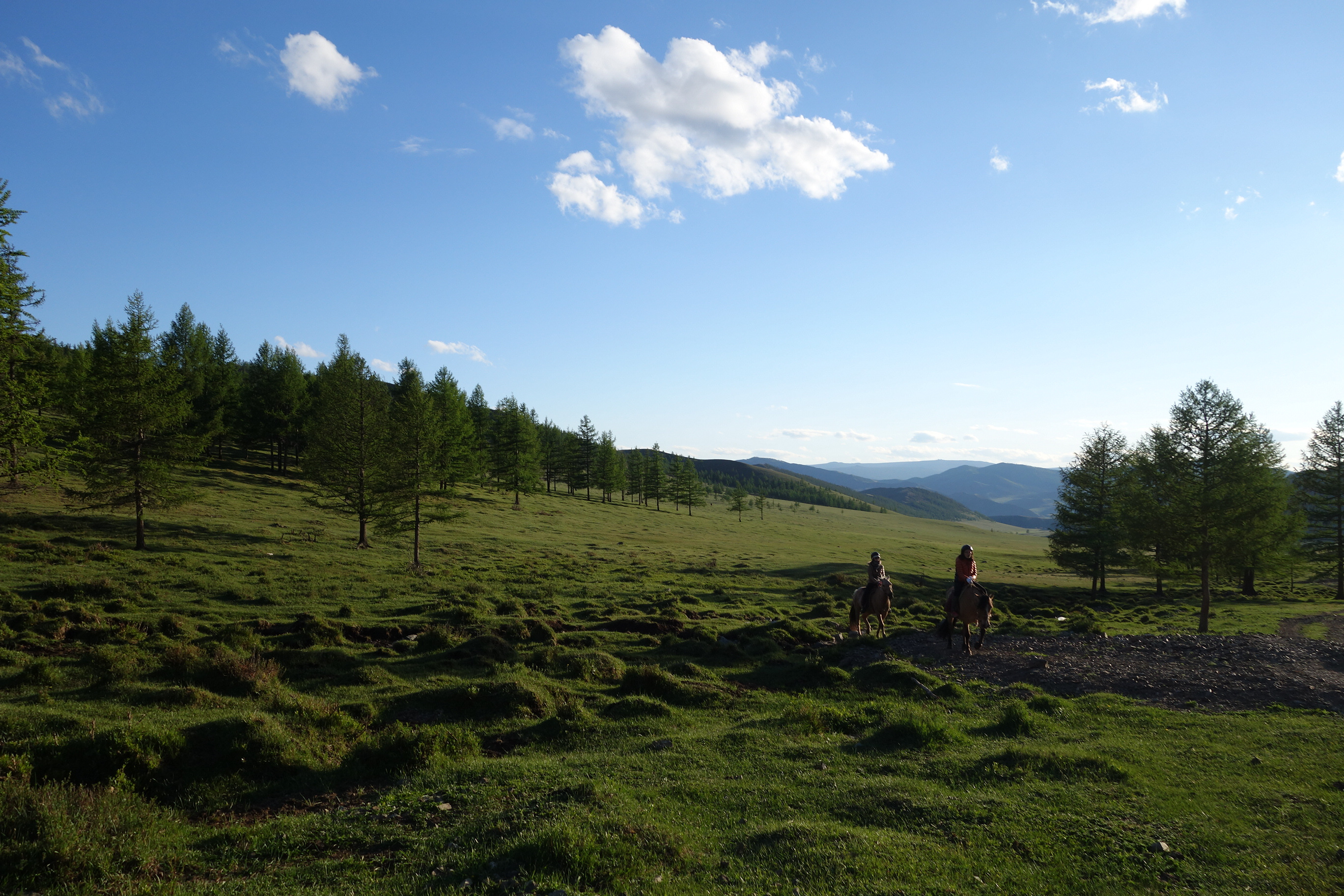 🇲🇳 蒙古國墜馬記 Falling for Mongolia: A Horseback Tale